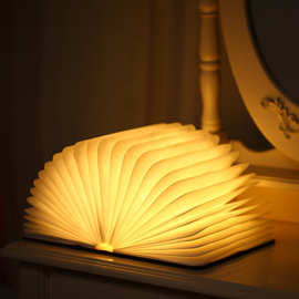 led数码灯笼